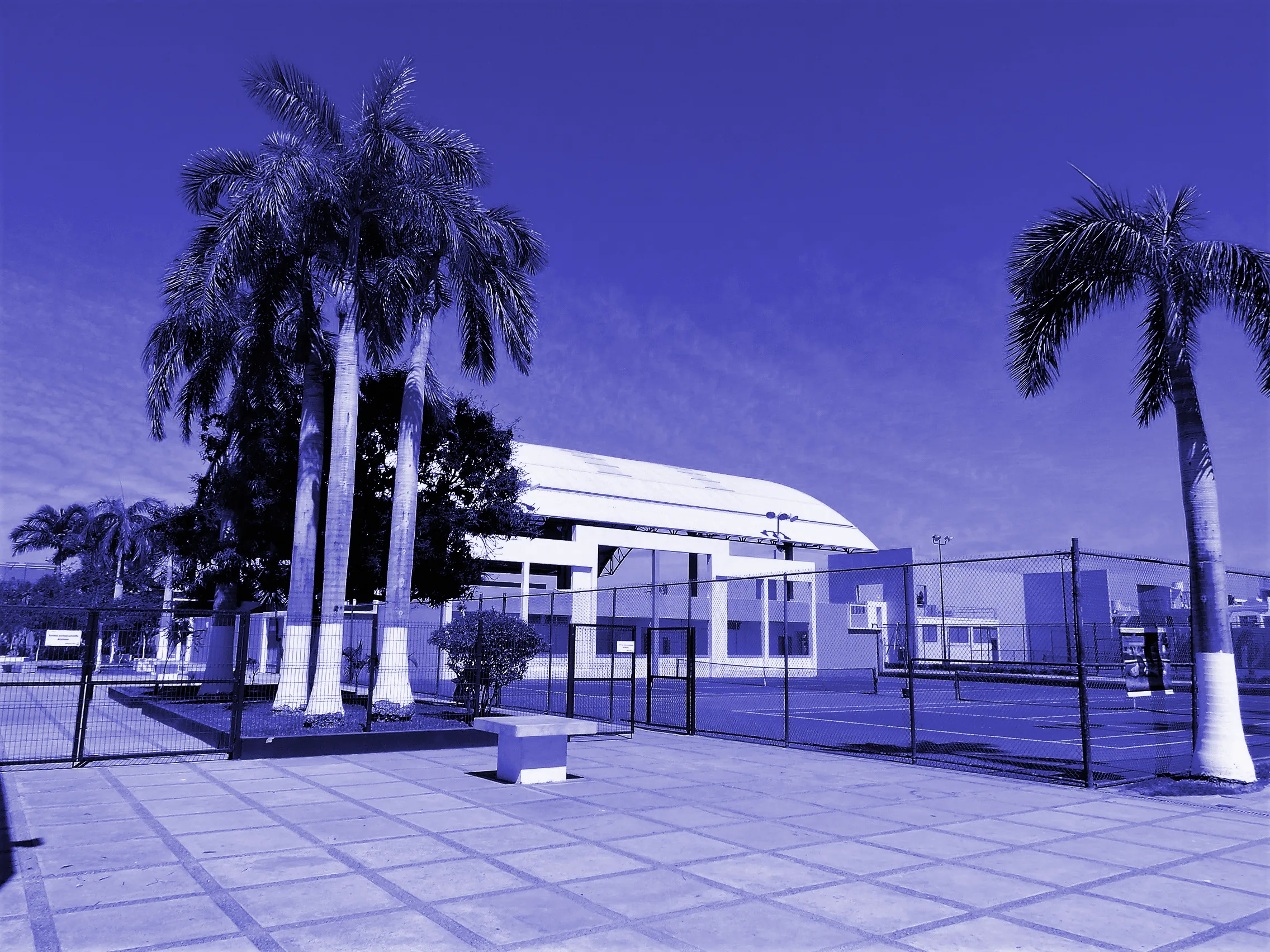 Campus del Colegio Montfort