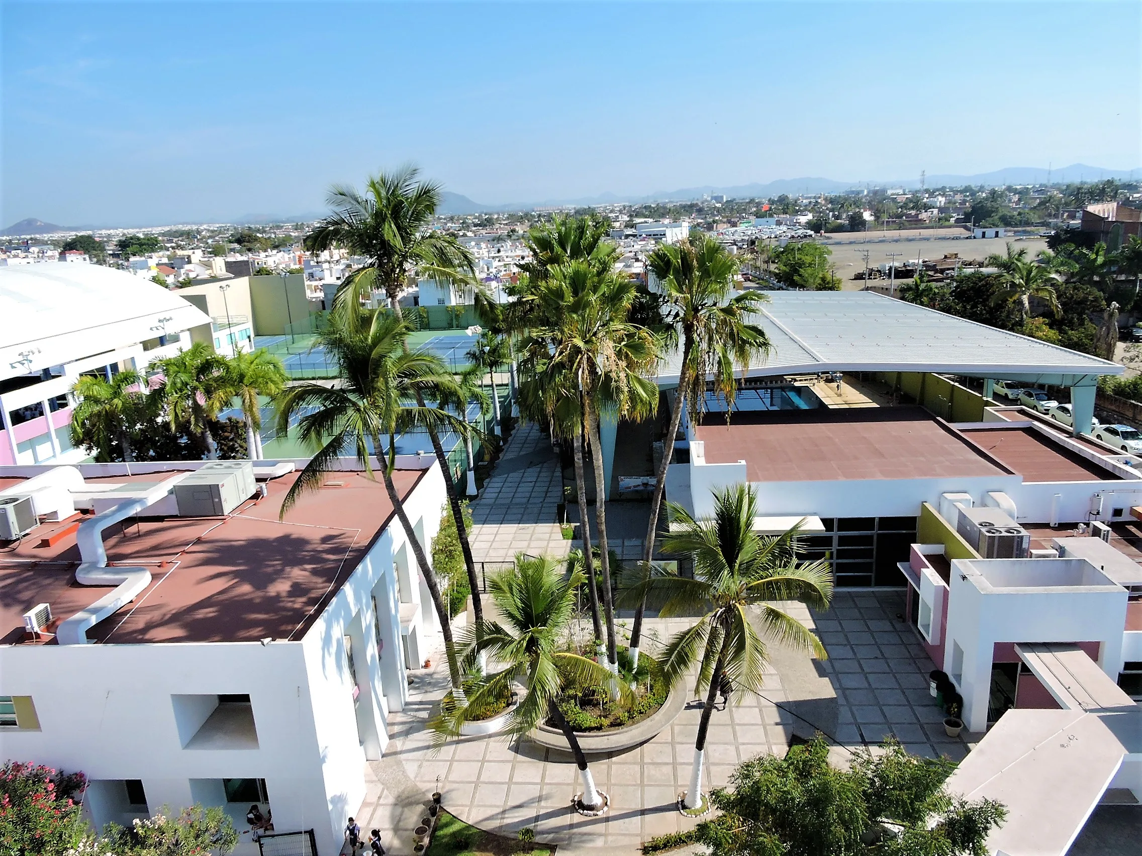 Palmeras y edificios del colegio vistos desde arriba